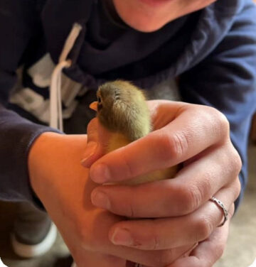 284079414_5248992148495819_6452832432302050350_n